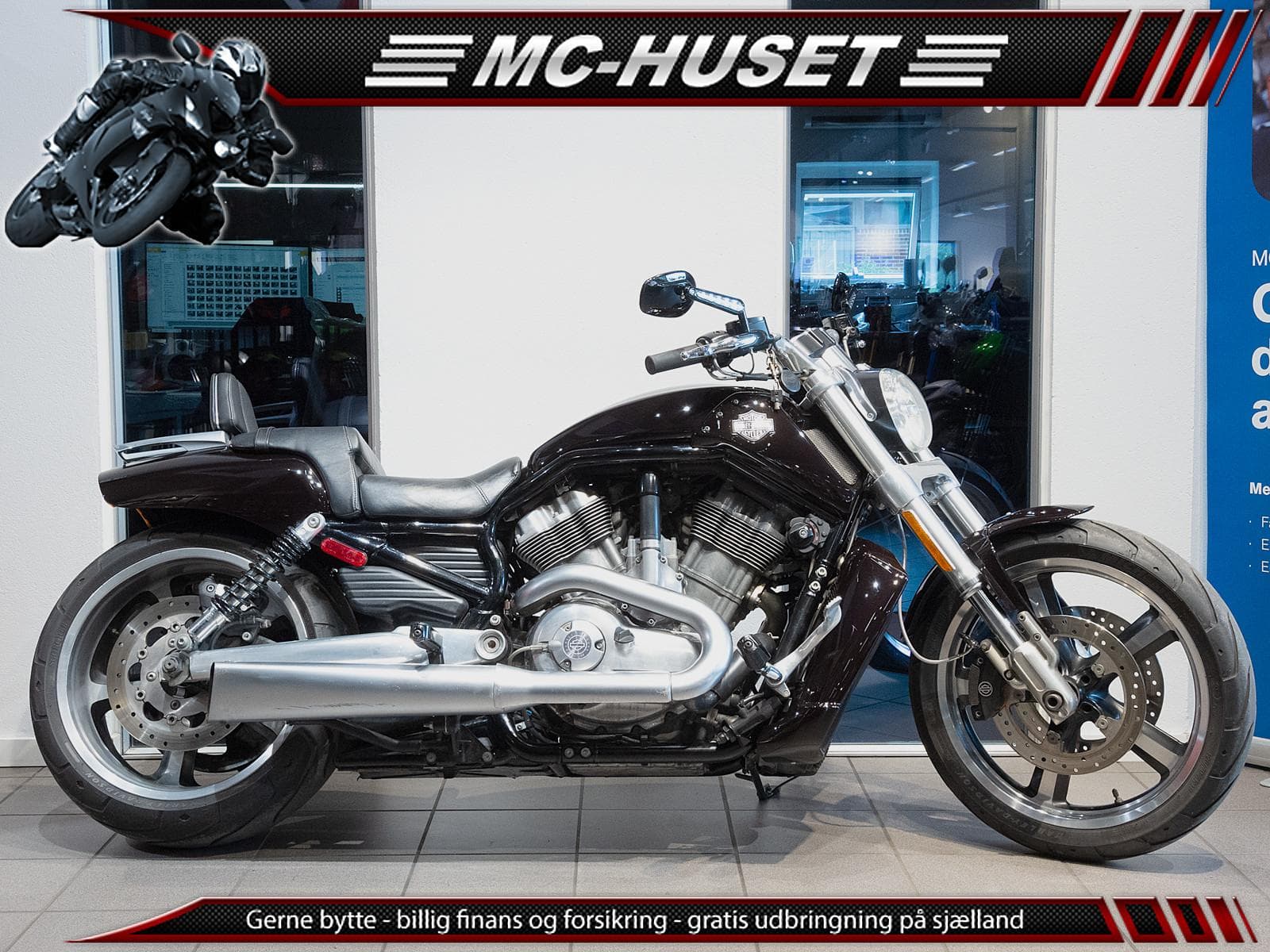 Harley-Davidson Vrscf V-Rod Muscle