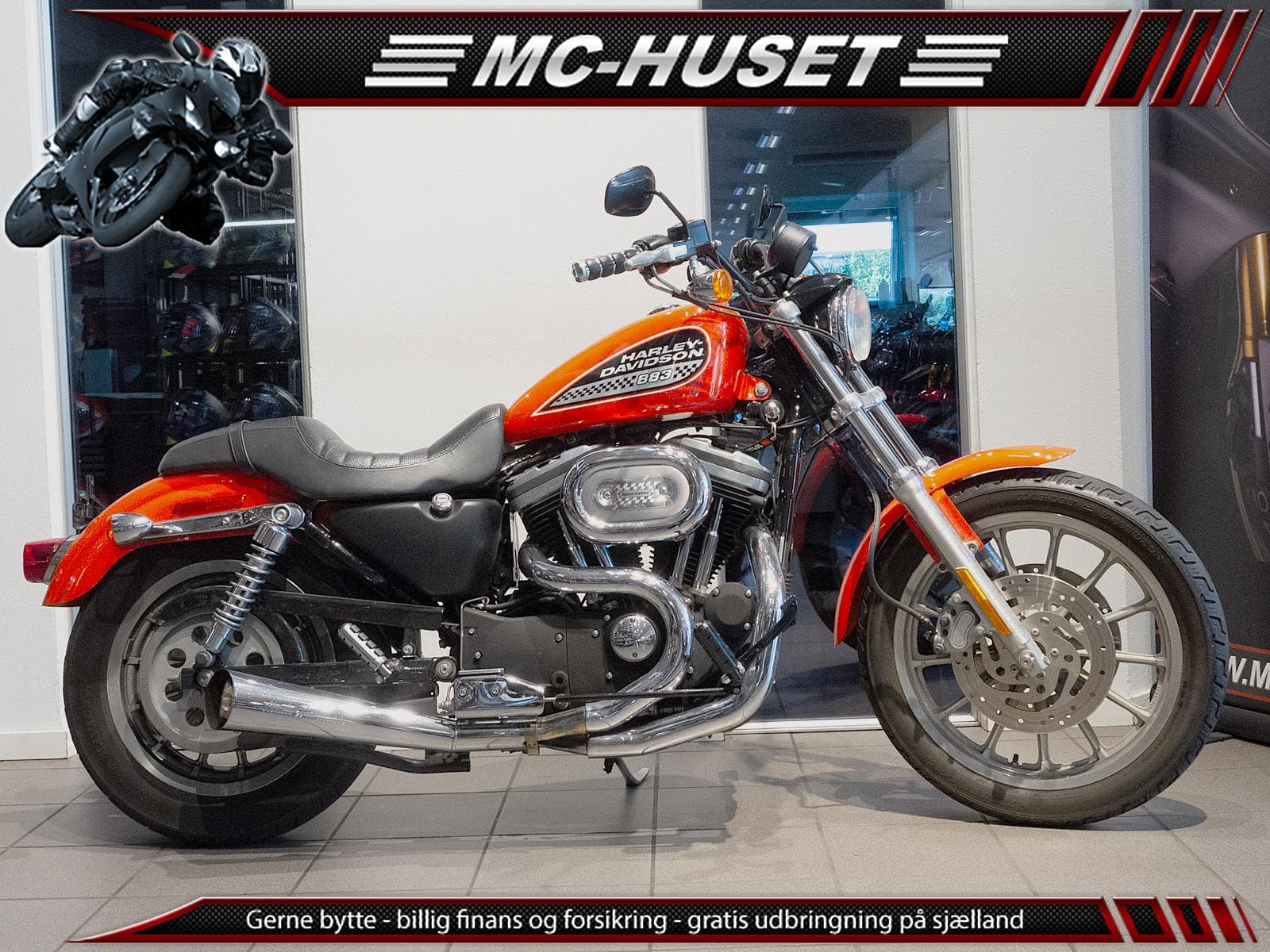 Harley-Davidson Xl883 Standard