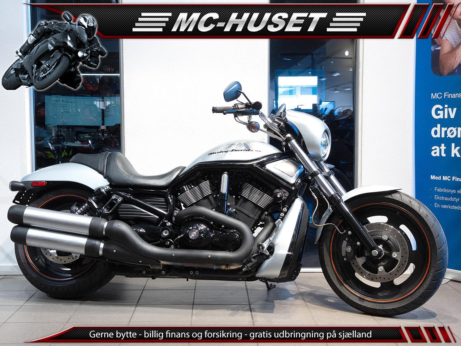 Harley-Davidson Vrscdx Night Rod Special