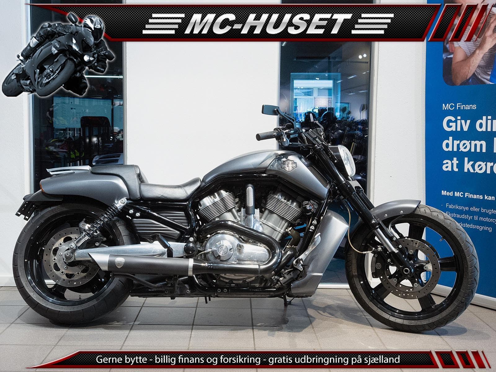 Harley-Davidson Vrscf V-Rod Muscle