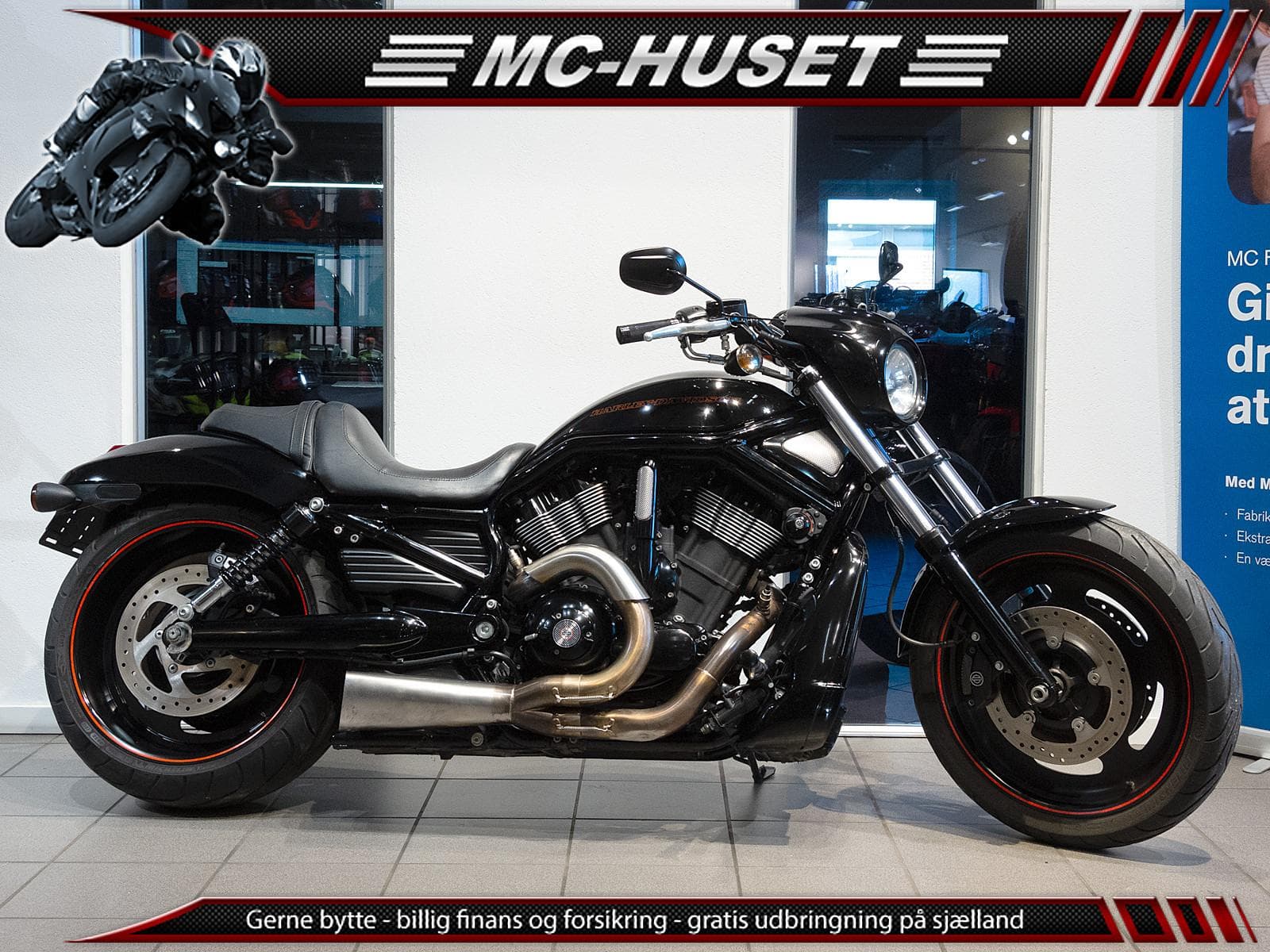 Harley-Davidson Vrscdx Night Rod Special