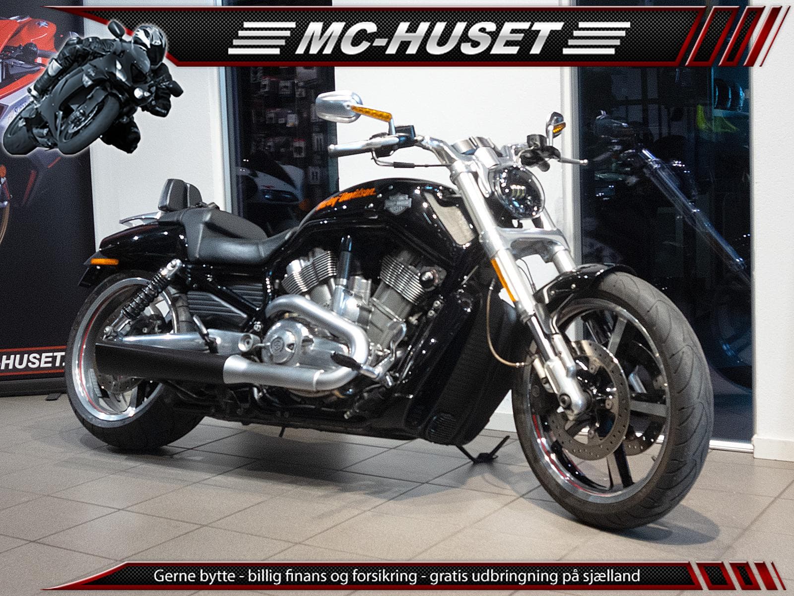 Harley-Davidson Vrscf V-Rod Muscle