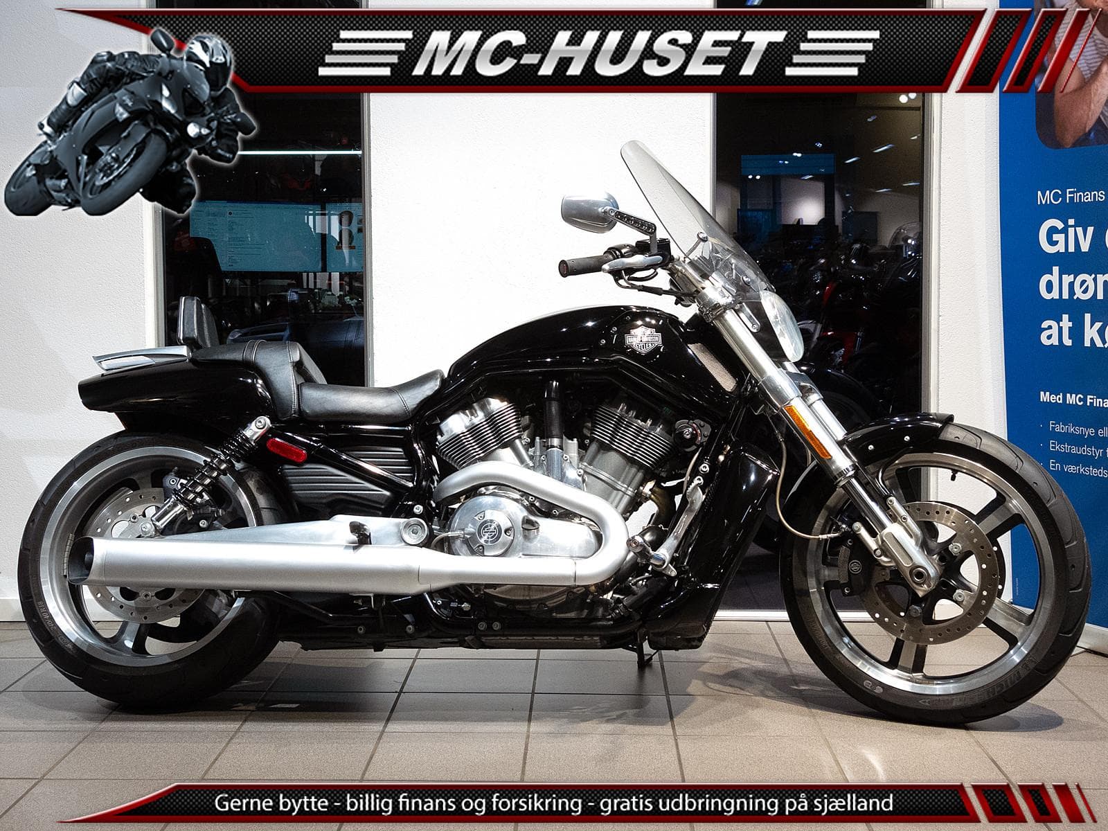 Harley-Davidson Vrscf V-Rod Muscle
