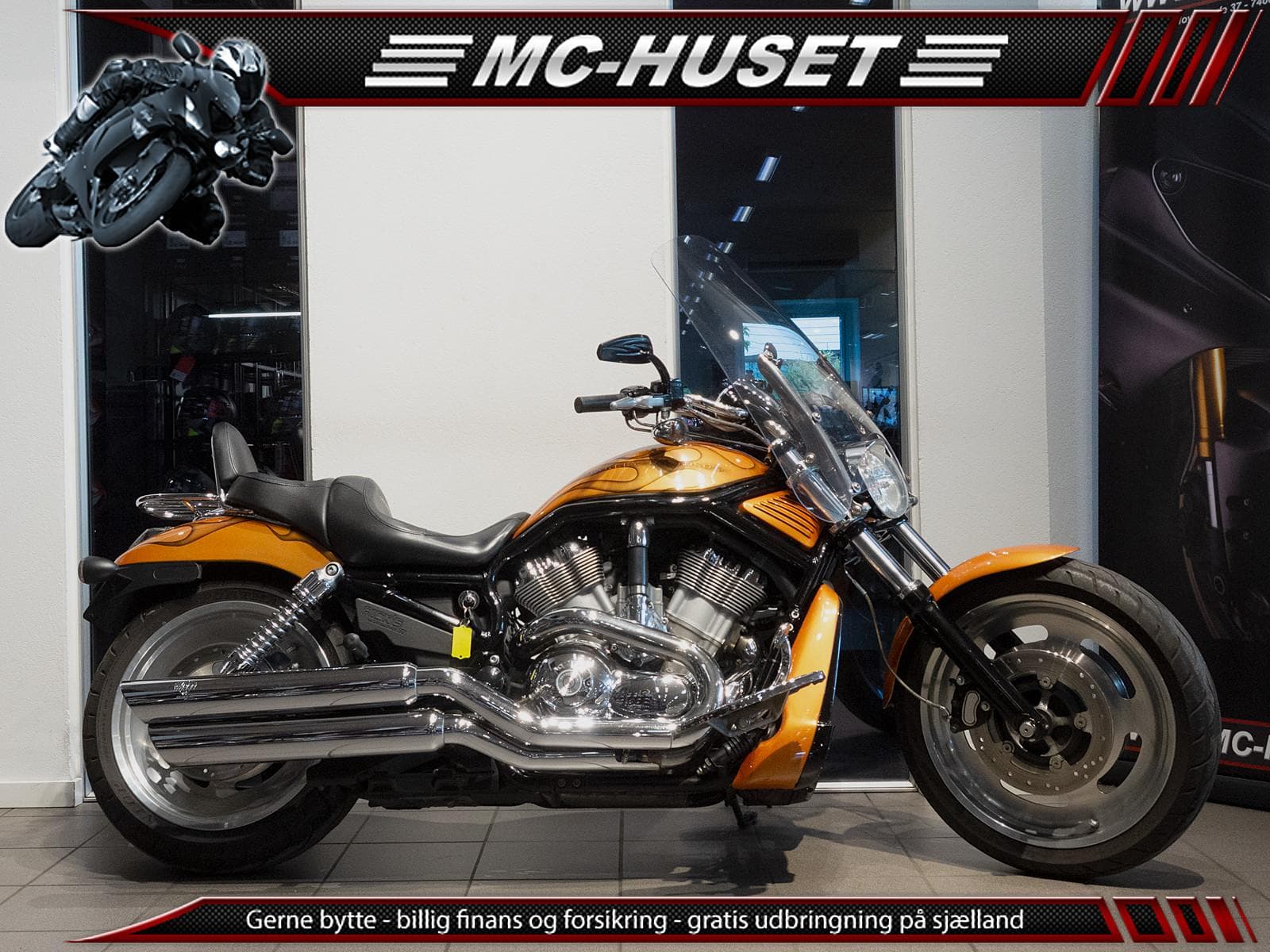Harley-Davidson Vrsca V-Rod